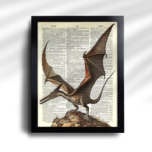 Puede incluir: Una impresi&oacute;n enmarcada que presenta una ilustraci&oacute;n detallada de un Pterod&aacute;ctilo, un reptil volador prehist&oacute;rico, sobre un fondo de p&aacute;ginas de diccionario vintage. La obra de arte muestra la criatura en tonos marrones, con toques de rojo, y est&aacute; encerrada en un marco negro.