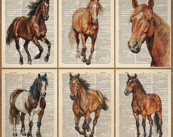 Horse Print Set of 6 Horse Wall Art Horse Poster Horse Painting Horse Wall Decor Horse Gifts Horse Lover Gift Set Vintage Horse Print 817