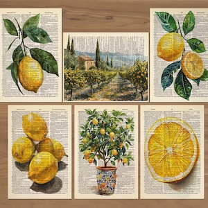 Lemon Print set of 6 Lemon Fruit Wall Art Lemon Poster Lemon Painting Lemon Citrus Wall Art Lemon Kitchen Wall Art Vintage Lemons Poster 841