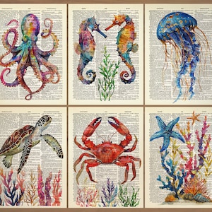 Puede incluir: Seis ilustraciones de acuarela de criaturas marinas sobre un fondo de p&aacute;gina de libro antiguo. Las ilustraciones incluyen un pulpo, dos caballitos de mar, una medusa, una tortuga marina, un cangrejo y una estrella de mar.