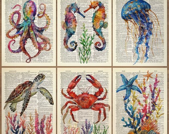 Sea Life Print Set of 6 Sea Life Wall Art Squid Gift Set Octopus Bathroom Wall Decor Sea Life Poster Octopus Nautical Sea Horse Poster  810