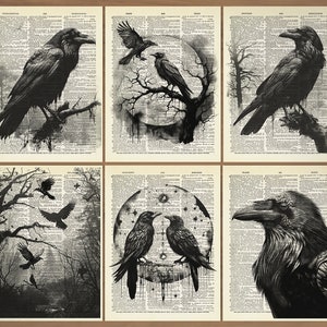 Raven Crow Print Set 6 Raven Wall Art Crow Poster Crow Wall Art Crow Gifts Raven Art Print Gift Set of Raven Posters Vintage Raven Print 724