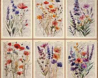Juego de 6 láminas de flores silvestres, póster de flores silvestres, arte de pared de flores silvestres, lámina de flores silvestres en acuarela, conjunto de galería de flores, póster floral vintage 0751