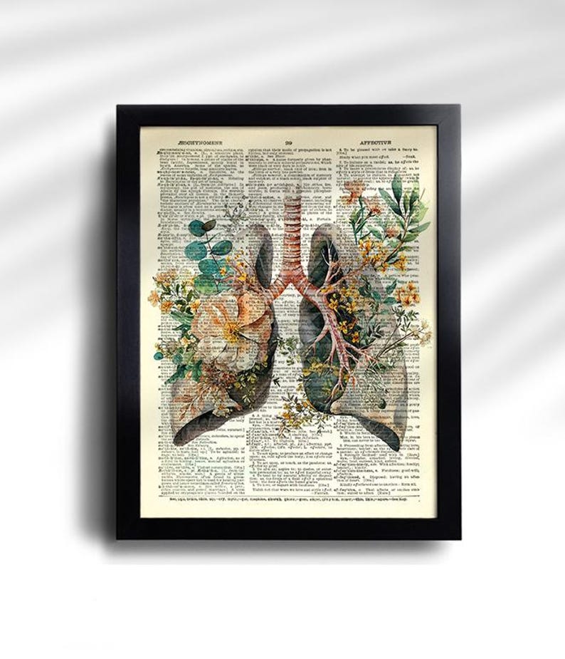 Anatomy Print Set 6 Medical Wall Art Anatomical Poster Home Decor Gifts ...
