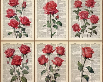 Rose Flower Print set of 6 Rose Flowers Wall Art Rose Poster Rose Print Red Rose Watercolor Flower Gallery Vintage Rose Floral Poster 821