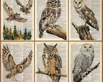 Owl Print Set of 6 Owl Woodland Animals Wall Art Owl Poster Owl Painting Owl Nursery Walll Decor Owl Forest Print Gift Set Vintage Owl 855