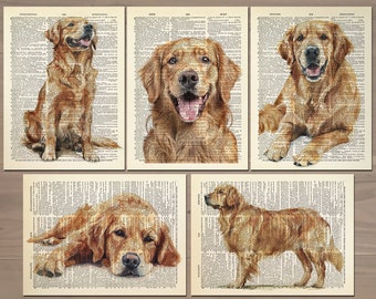 Golden Retriever Print set of 5 Golden Retriever Poster Golden Retriever Wall Decor Cool  Artwork for Dog Lovers Gift for Wife Gift 789