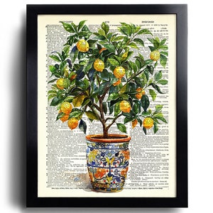 May include: A framed print featuring a potted lemon tree with bright yellow lemons and green leaves. The tree is set against a backdrop of vintage dictionary pages. The pot has a blue and orange floral design.