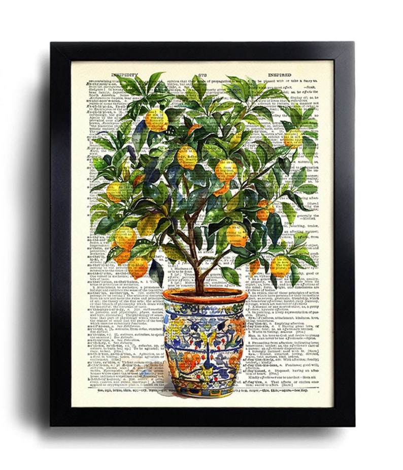May include: A framed print featuring a potted lemon tree with bright yellow lemons and green leaves. The tree is set against a backdrop of vintage dictionary pages. The pot has a blue and orange floral design.