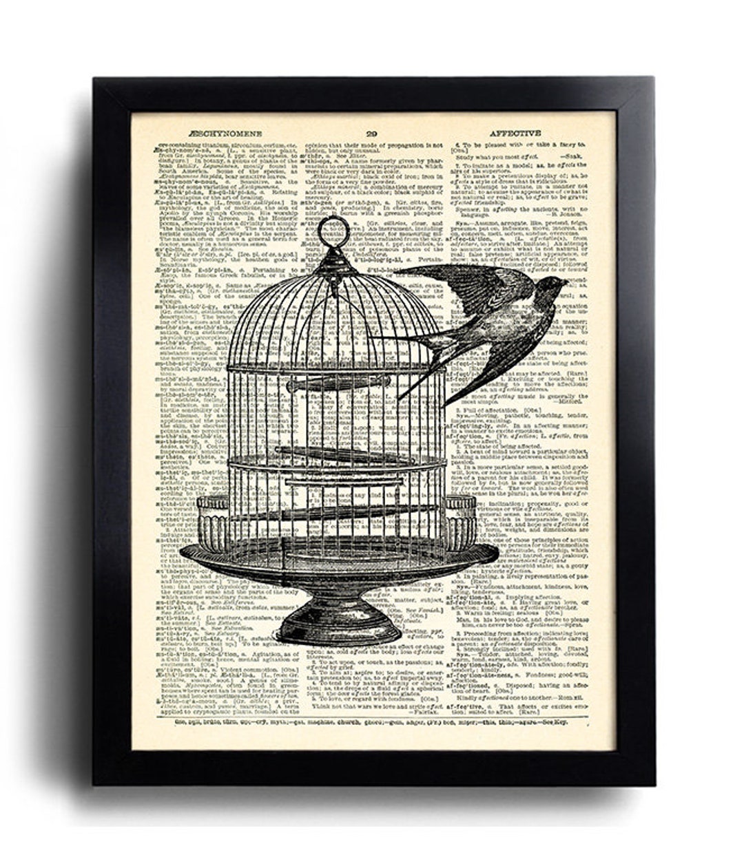 Bird Cage Art Print Birds Art Print, Vintage Illustration Dictionary