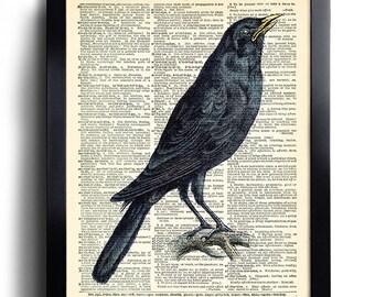 Original Dictionary Page Art Print - Love Quotation With Raven & Skull - 8x10