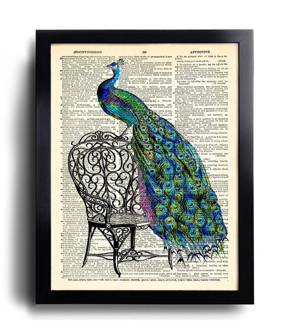 Peacock deco deals