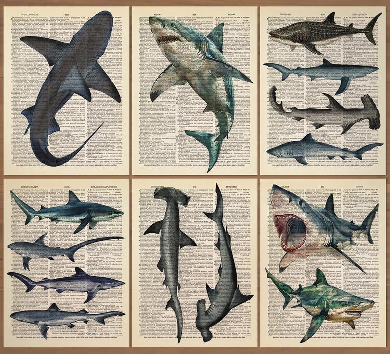 May include: A collection of six vintage-style prints featuring various shark illustrations. Each print showcases a different shark species, rendered in shades of blue, gray, and green, set against a backdrop of aged dictionary pages. The artwork captures the sharks in dynamic poses.