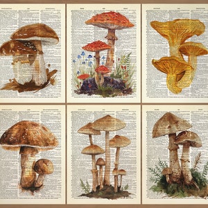 Mushroom Print Mushroom Decor Set of 6 Prints Mushroom Poster Mushroom Wall Art Botanical Wall Decor Vintage Mushroom themed prints Gift 832