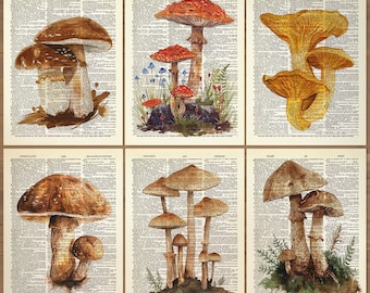 Mushroom Print Mushroom Decor Set of 6 Prints Mushroom Poster Mushroom Wall Art Botanical Wall Decor Vintage Mushroom themed prints Gift 832