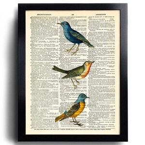 Birds Bird Dictionary Art Print, Bird Poster Wall Decor, Vintage Dictionary Print, Decorative Art, Birds Decor, Office Wall Artwork 027
