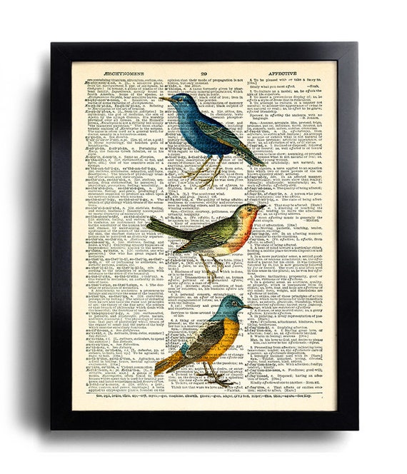 Birds Bird Dictionary Art Print Bird Poster Wall Decor | Etsy