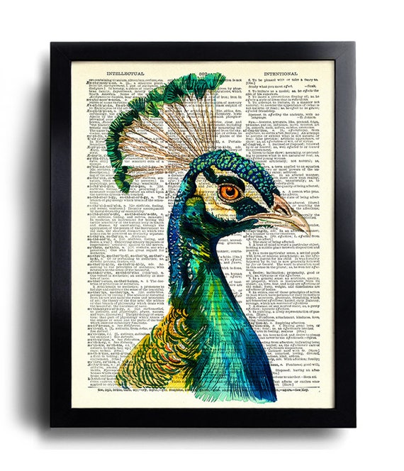Peacock Wall Art Set of 6 Peacock Print Peacock Feather Wall Art
