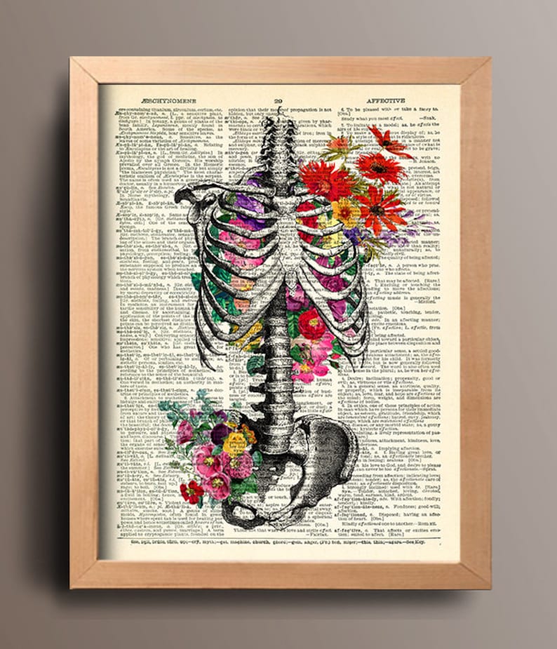 Ribcage Print Ribcage Poster Ribcage Art Human Anatomy Poster ...