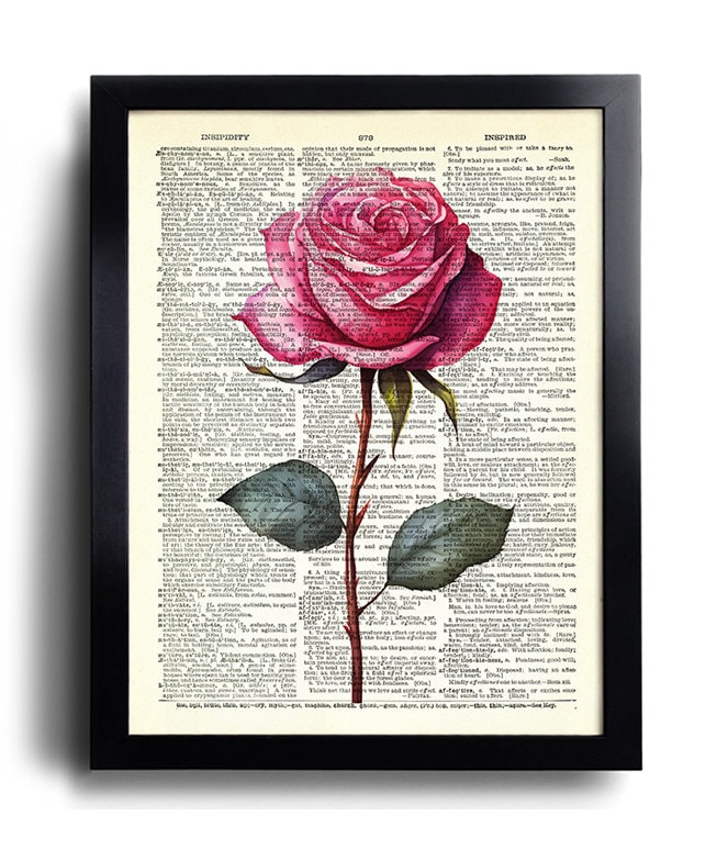 Rose Flower Print Set of 6 Rose Flowers Wall Art Rose Poster Rose