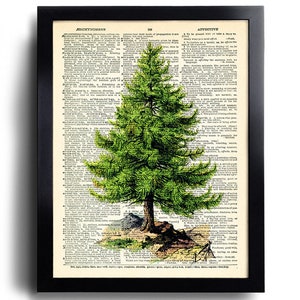 Albero Verde Pino Vacanza Natura Arte Stampa Libro Vintage Stampa Dizionario Vintage Riciclato Pagina Collage Libro Riciclato Dizionario 220