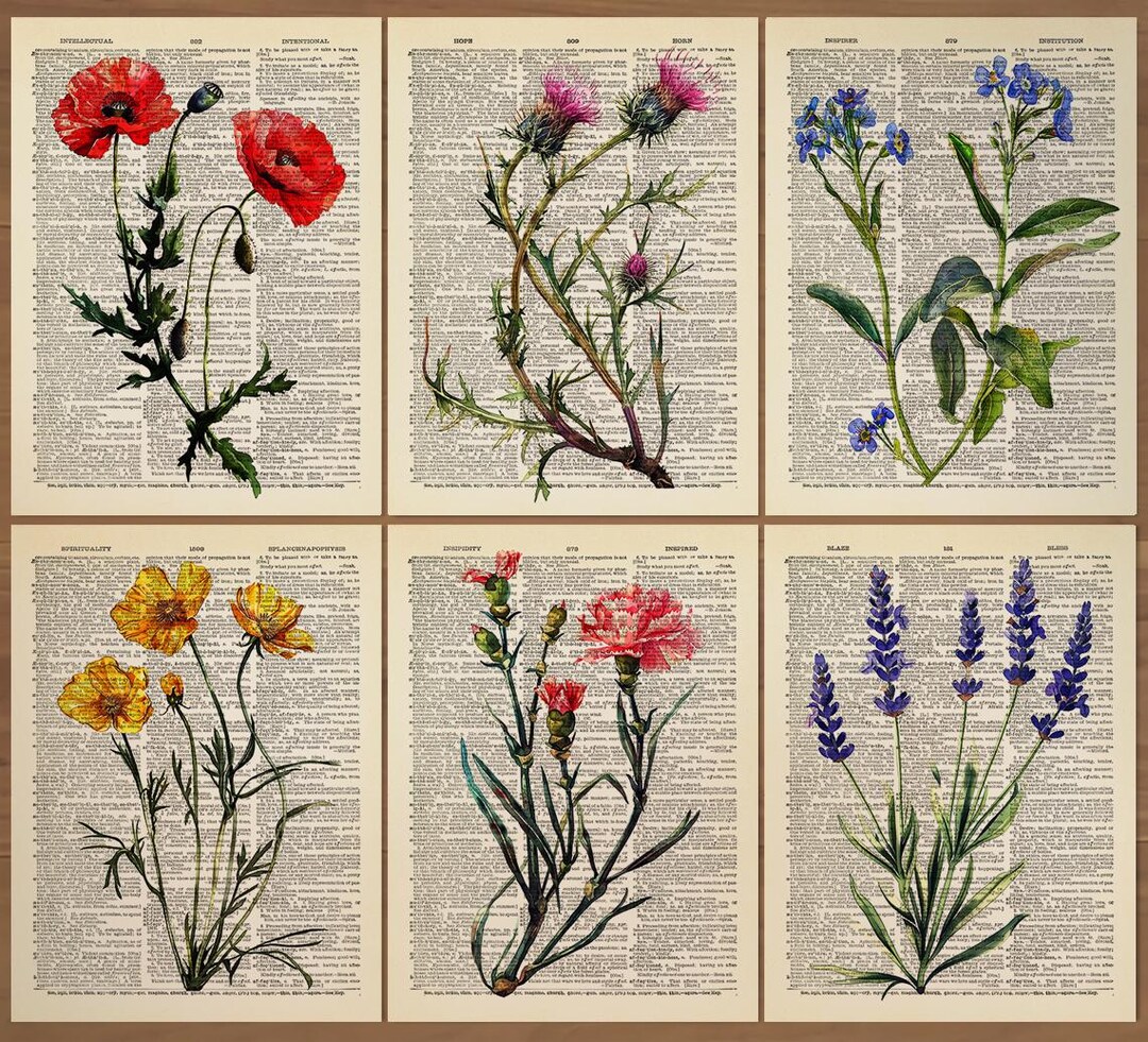 Wildflower Prints Set of 6 Wildflower Poster Wildflowers Wall Art ...