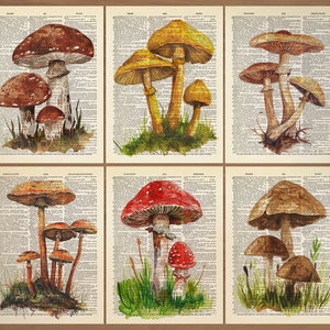Mushroom Print Mushroom Decor Set of 6 Prints Mushroom Poster Mushroom Wall Art Botanical Wall Decor Vintage Mushroom themed prints Gift 831