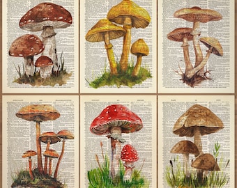Mushroom Print Mushroom Decor Set of 6 Prints Mushroom Poster Mushroom Wall Art Botanical Wall Decor Vintage Mushroom themed prints Gift 831