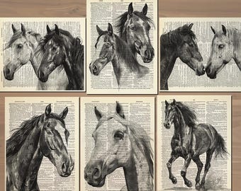 Horse Print Set of 6 Horse Wall Art Horse Poster Horse Painting Horse Wall Decor Horse Gifts Horse Lover Gift Set Vintage Horse Print 854