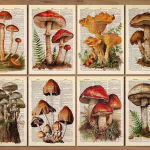 Mushroom Print Mushroom Decor Set of 8 Prints Mushroom Poster Mushroom Wall Art Botanical Wall Decor Vintage Mushroom themed prints Gift 830