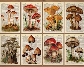 Mushroom Print Mushroom Decor Set of 8 Prints Mushroom Poster Mushroom Wall Art Botanical Wall Decor Vintage Mushroom themed prints Gift 830