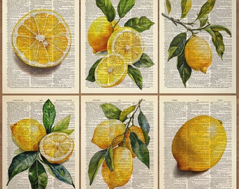 Lemon Print set of 6 Lemon Wall Art Lemon Poster Lemon Painting Lemon Citrus Wall Art Lemon Kitchen Wall Art Vintage Lemons Fruit Poster 842