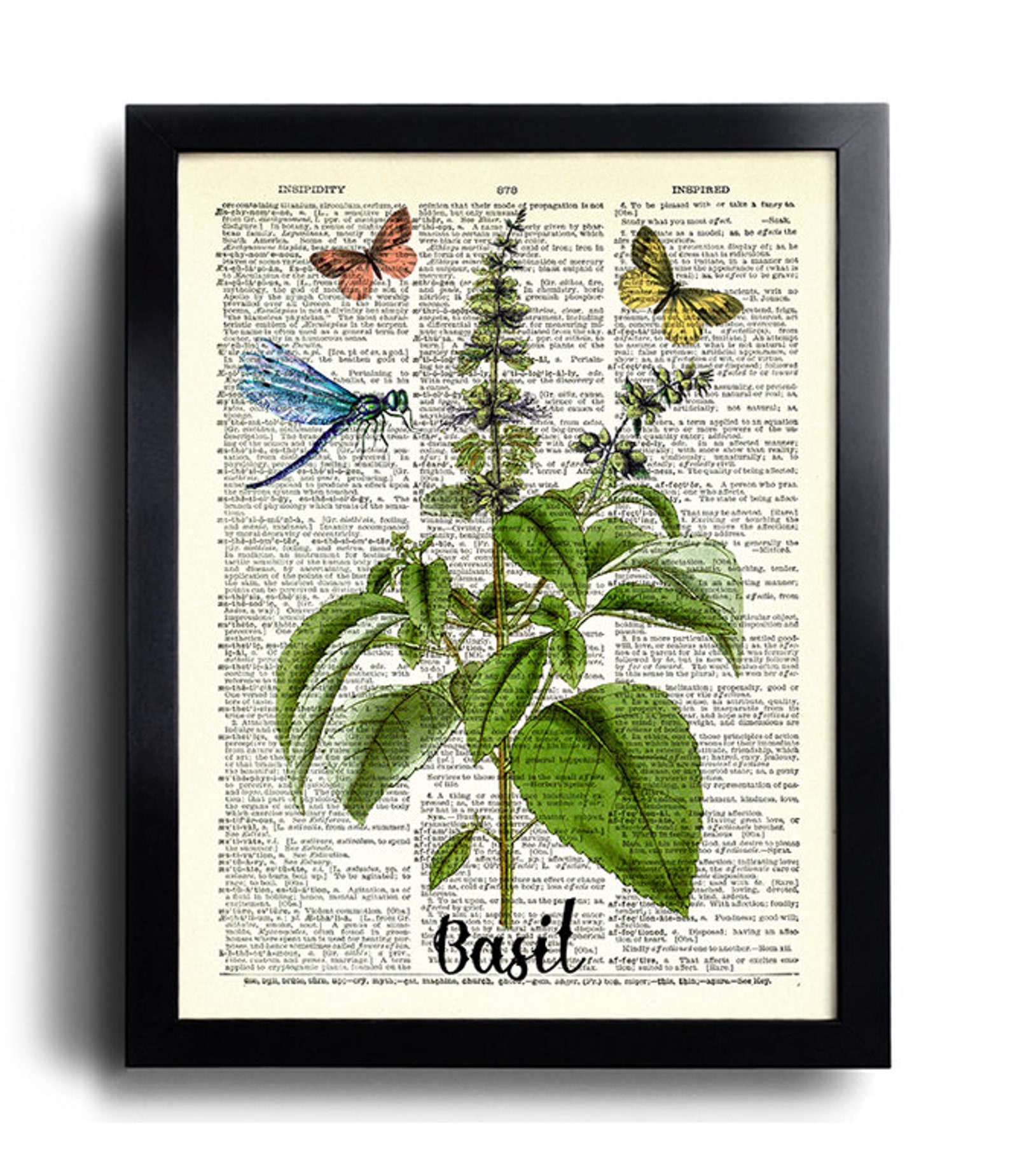 Kitchen Herbs Print Set of 6 Prints Oregano Poster Basil Wall Decor ...