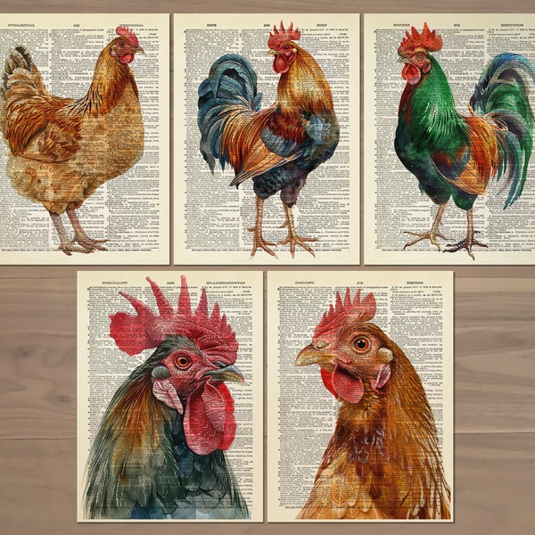 Lot de 5 impression coq poulet affiche coq peinture poulet impression d'art coq cadeaux ferme décoration murale coq vintage art 771