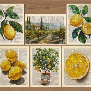 May include: Set of six vintage-style prints featuring lemons and lemon trees. The prints include watercolor illustrations of lemons on branches, a lemon tree in a decorative pot, and a landscape with lemon trees. The backgrounds are pages from an old dictionary.