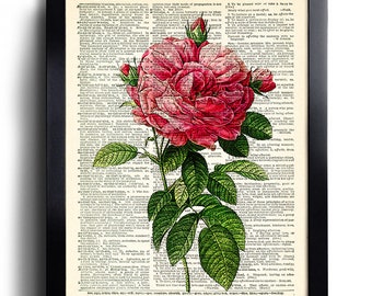 Flower Rose Art Print Vintage Book Print Upcycled Vintage Dictionary Page Collage Repurposed Book Upcycled Dictionary 084