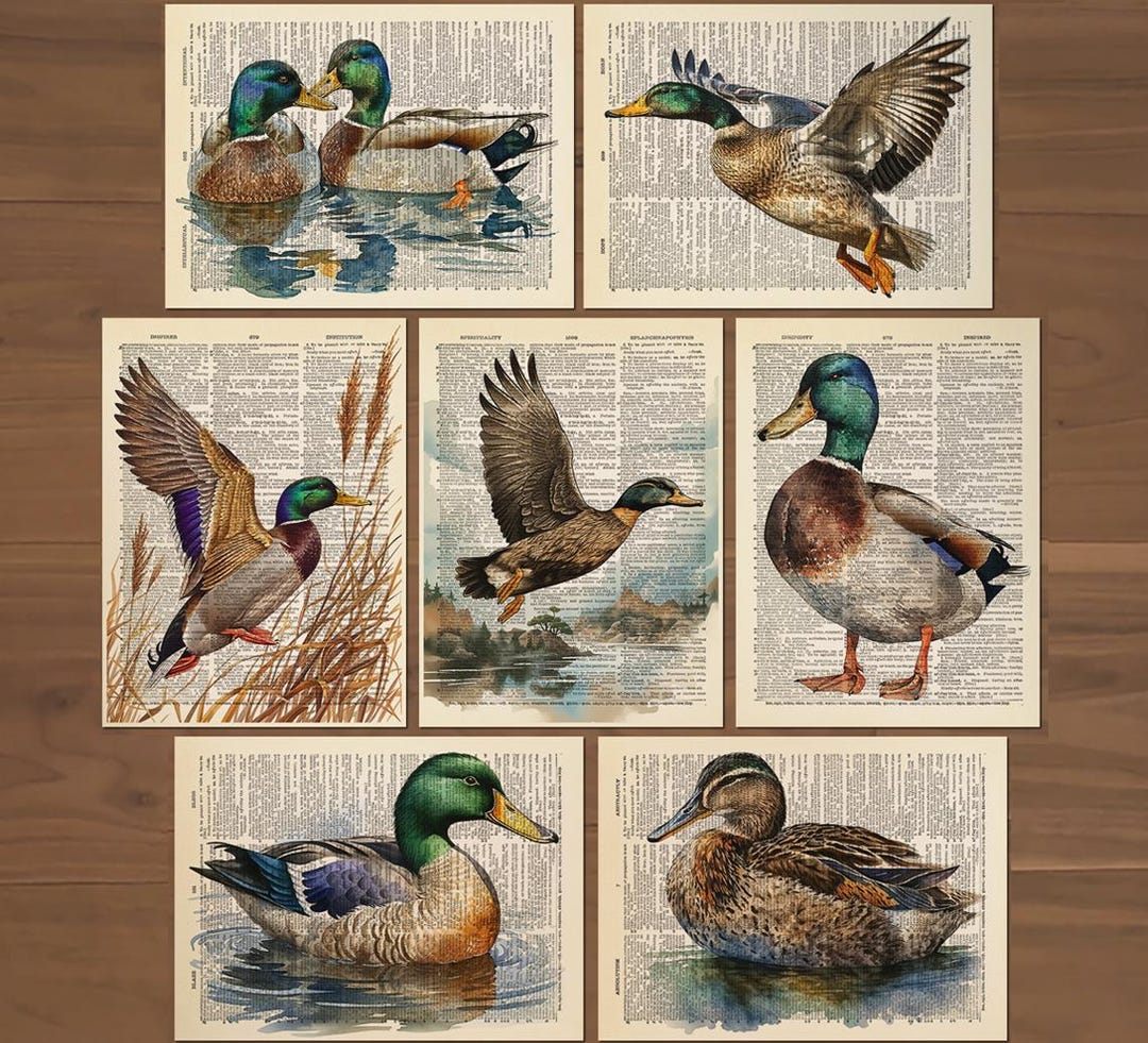 Canards colverts de l'Outback - James Meger - Peinture par numéros