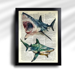 Juego de 6 impresiones de tiburón, póster vintage de tiburón, impresión vintage de tiburones, póster de especies de tiburón, arte de pared de tiburón, decoración de pared de tiburón, impresión antigua de tiburón 777 imagen 7