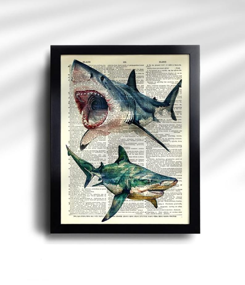 Juego de 6 impresiones de tiburón, póster vintage de tiburón, impresión vintage de tiburones, póster de especies de tiburón, arte de pared de tiburón, decoración de pared de tiburón, impresión antigua de tiburón 777 imagen 7