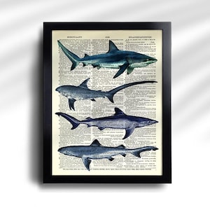 Juego de 6 impresiones de tiburón, póster vintage de tiburón, impresión vintage de tiburones, póster de especies de tiburón, arte de pared de tiburón, decoración de pared de tiburón, impresión antigua de tiburón 777 imagen 5