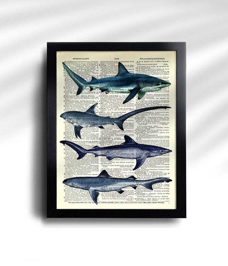 Juego de 6 impresiones de tiburón, póster vintage de tiburón, impresión vintage de tiburones, póster de especies de tiburón, arte de pared de tiburón, decoración de pared de tiburón, impresión antigua de tiburón 777 imagen 5