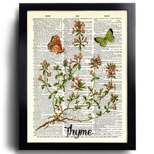Puede incluir: Una p&aacute;gina de diccionario vintage con una ilustraci&oacute;n de tomillo, una planta con flores rosas y hojas verdes. Dos mariposas, una naranja y otra verde, est&aacute;n posadas en la planta. La palabra "tomillo" est&aacute; resaltada en negro.