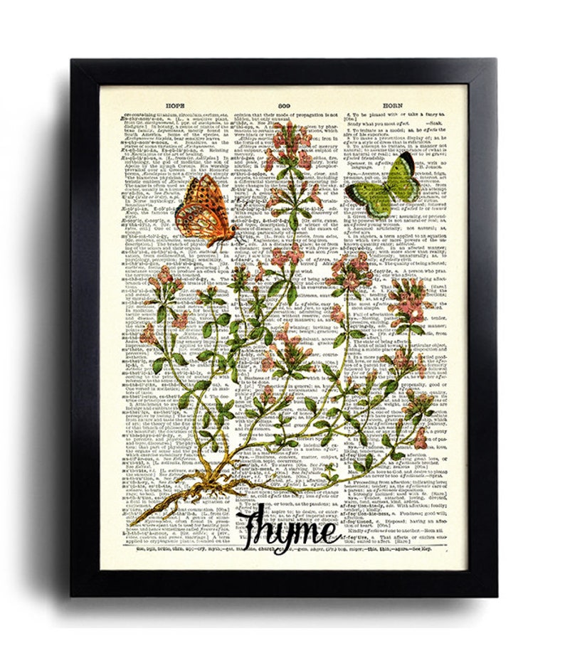 Puede incluir: Una p&aacute;gina de diccionario vintage con una ilustraci&oacute;n de tomillo, una planta con flores rosas y hojas verdes. Dos mariposas, una naranja y otra verde, est&aacute;n posadas en la planta. La palabra "tomillo" est&aacute; resaltada en negro.