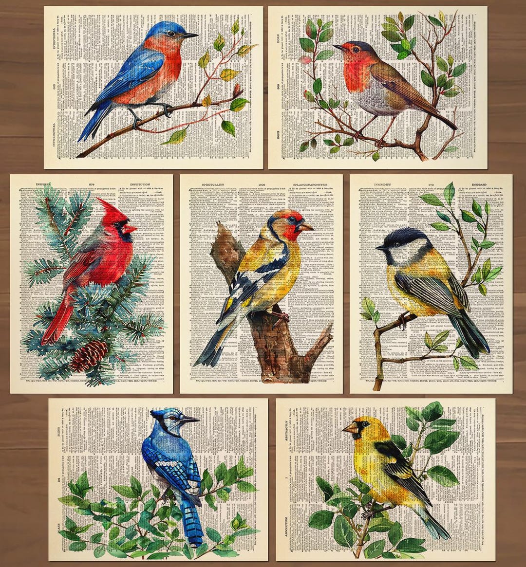 Bird Print Set of 7 Birds Poster Cardinal Print Goldfinch Bird