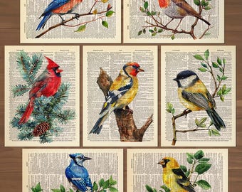 Bird Print Set of 7 Birds Poster Cardinal Print Goldfinch bird gift Chickadee Print Blue Jay Poster Vintage Birds Wall Art Robin Print 875