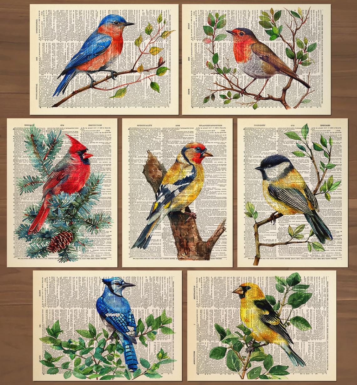Bird Print Set of 7 Birds Poster Cardinal Print Goldfinch Bird
