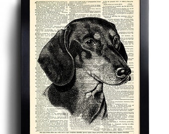 Dachshund Dog Portrait Art Print, Poster Art, Dictionary Art Print, Wall Decor, Vintage Book Page Print, Room Decor Office Art 249