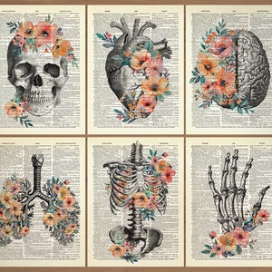 Lot de 6 affiches d'anatomie humaine, art mural médical floral, cadeau pour médecin, cadeau anatomique vintage, anatomie humaine, crâne, fleurs, art 736