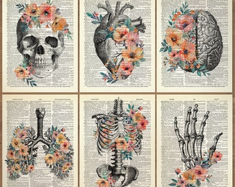 Anatomy Print Set of 6 Human Anatomy Poster Floral Medical Wall Art Doctor Gifts Anatomical Gift Vintage Human Anatomy Skull Flower Art 736