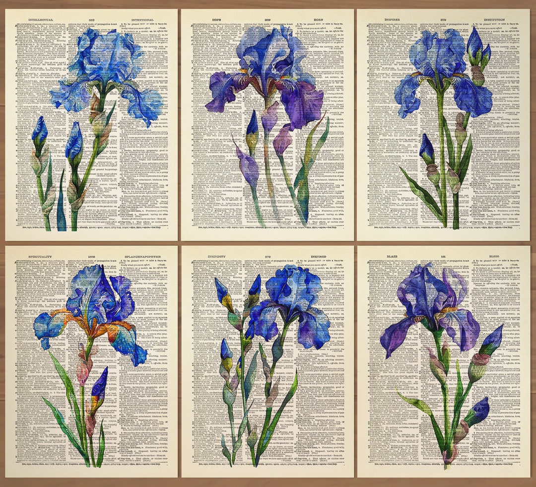 Iris Flower Print Set of 6 Iris Flowers Wall Art Iris Poster Iris Print ...